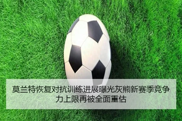 莫兰特恢复对抗训练进展曝光灰熊新赛季竞争力上限再被全面重估