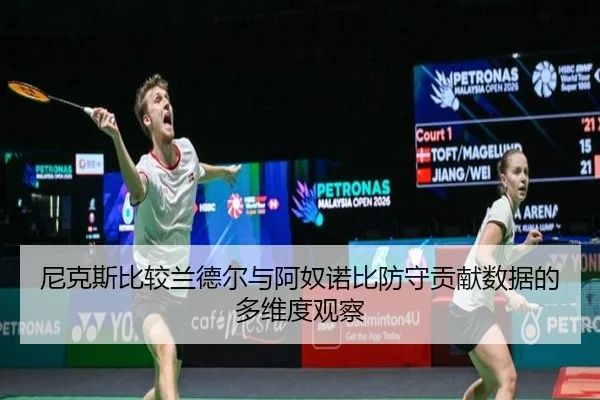 尼克斯比较兰德尔与阿奴诺比防守贡献数据的多维度观察